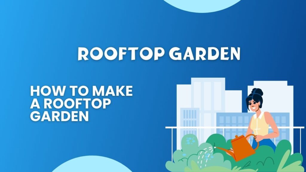 Rooftop Garden How to Make a Rooftop Garden Beginners Guide